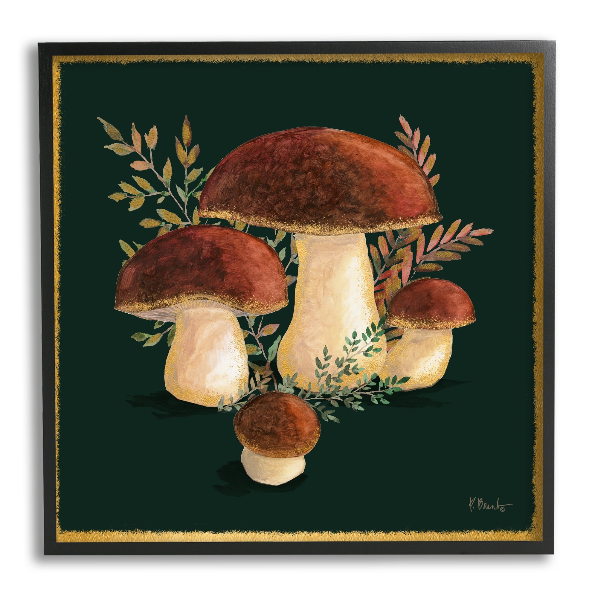 Stupell Mushrooms on Black Framed Giclee Art Design by Paul Brent