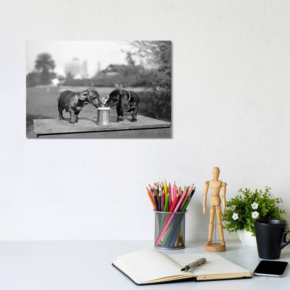 iCanvas "1890s Two Dachshund Puppies Lapping Beer From Stein" by Vintage Images Canvas Print