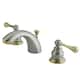 Option Brushed Nickel/Polished Brass