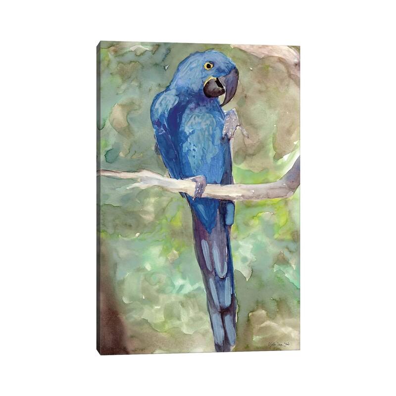 iCanvas "Blue Parrot II" by Stellar Design Studio Canvas Print