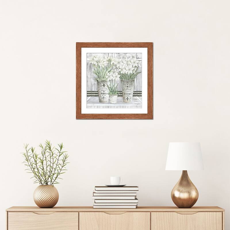 iCanvas "Amaryllis Multi Pots" by Cindy Jacobs