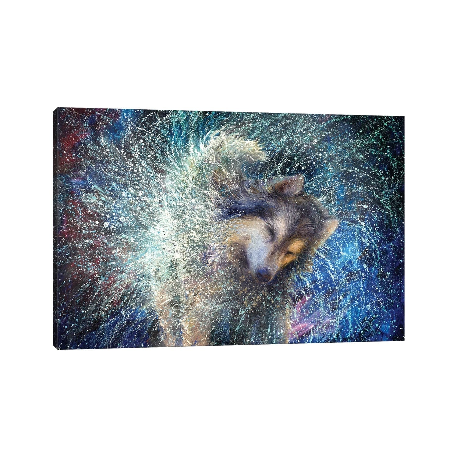 iCanvas "Luna The Sidereal" by Iris Scott Canvas Print