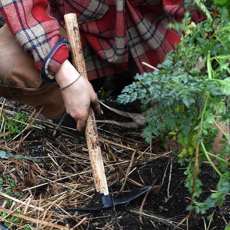 Kings County Tools 18-inch Double-Sided 2-Prong Cultivator and Hoe Garden Tool