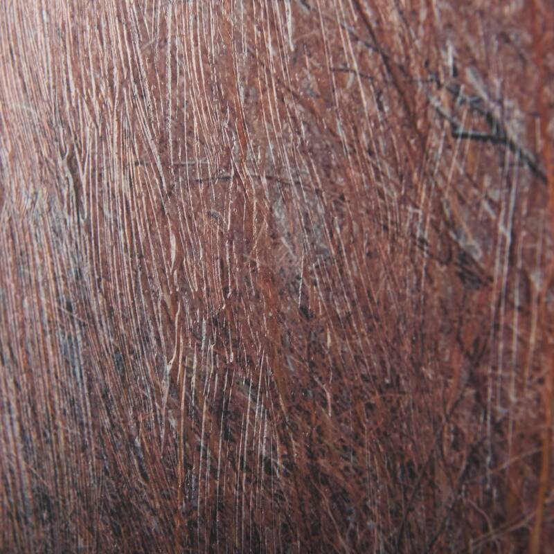 Woodland pastels Framed Art Print