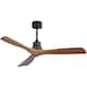 Option Black and Brown Blades
