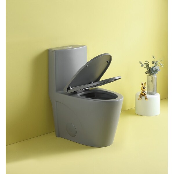 ABRUZZO One-Piece Toilet 1.1/1.60 GPF Dual Flush Elongated Comfort