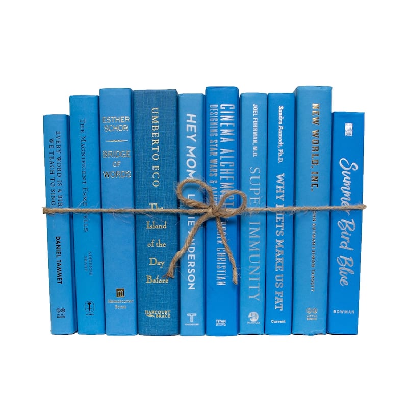 Books Blue Decorative Accessories: Sky ColorPak