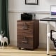 preview thumbnail 19 of 44, 2-Drawer Rolling Wood File Cabinet with Lock CoffeeBrown