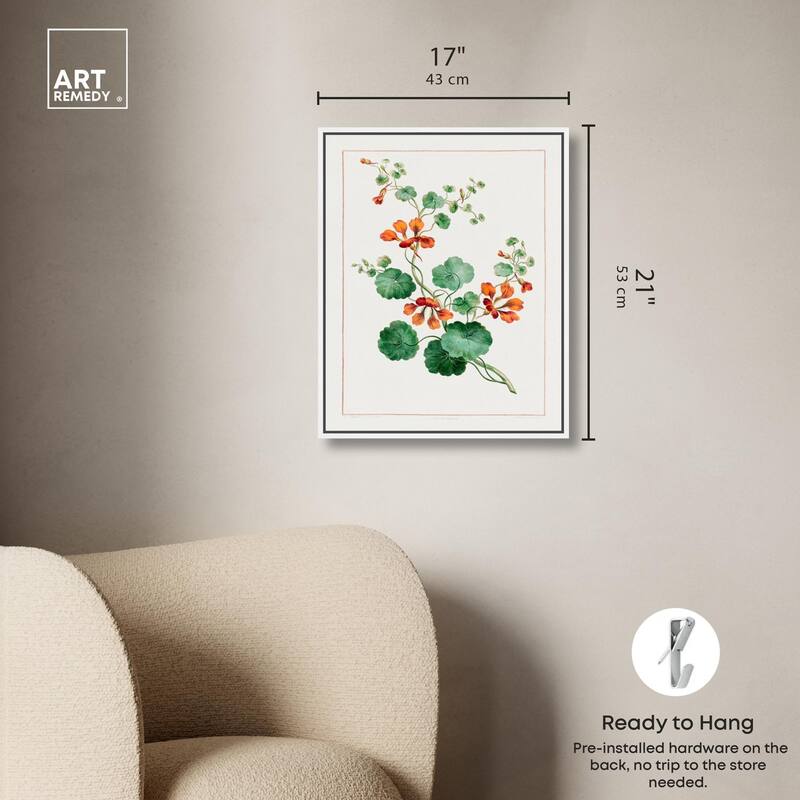 Nasturtium (1788) Canvas by Art Remedy