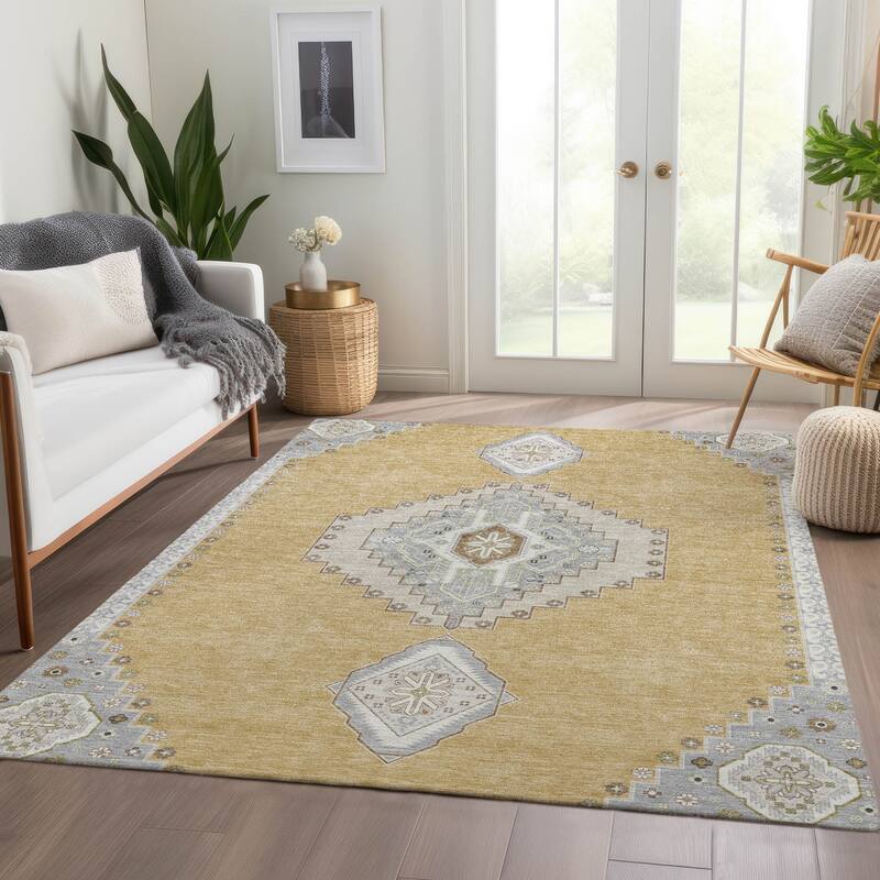 Premium Washable Super Soft Traditional Boho Mayfield Rug