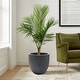 preview thumbnail 61 of 111, Tapered Round MgO Planter, Indoor and Outdoor MEDIUM - Grey