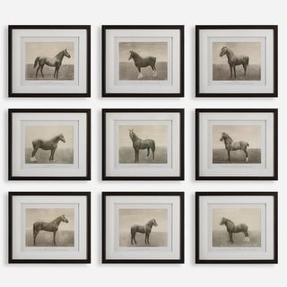 Uttermost Equine Dynasty Framed Prints, Set of 9