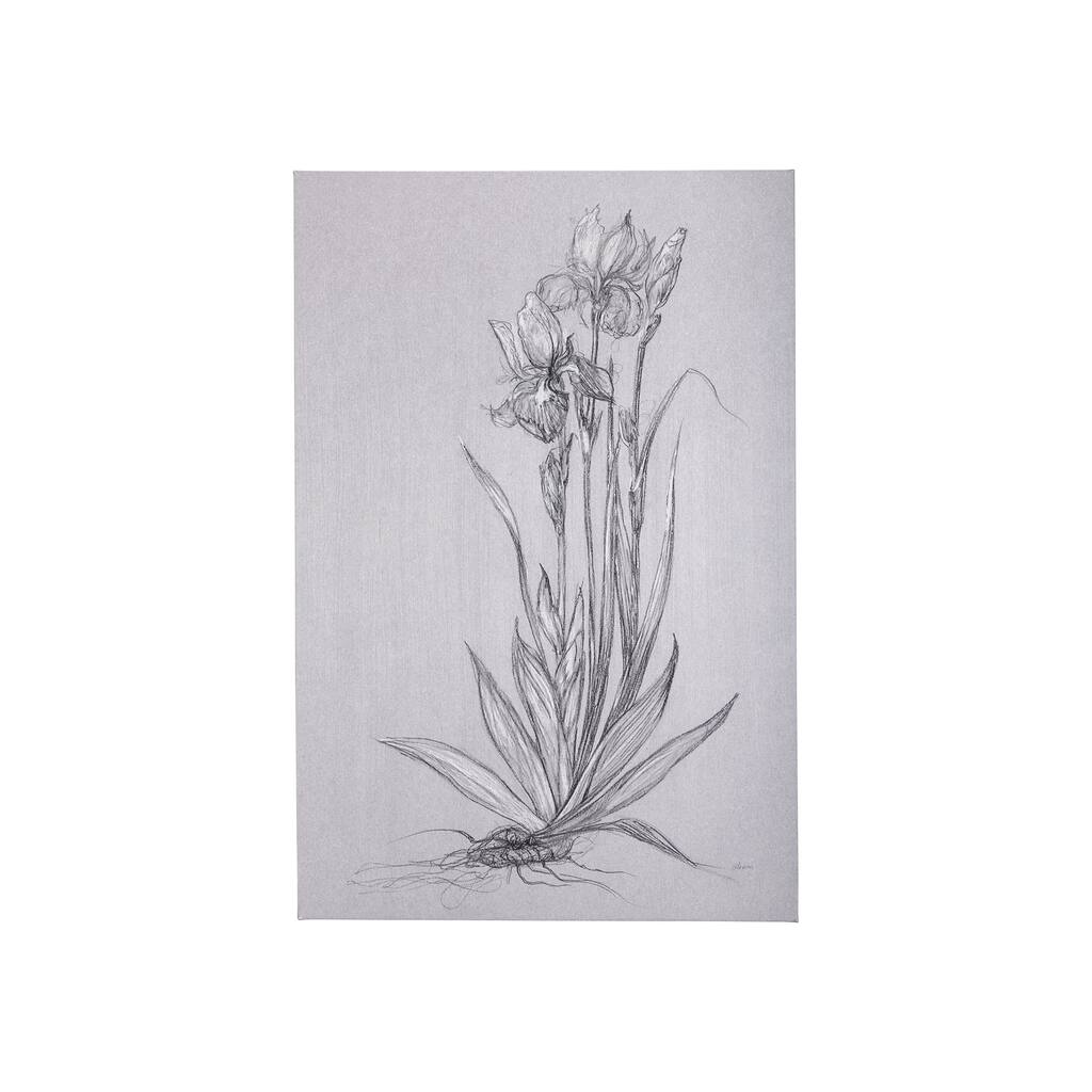 Botanical Sketches IV (Grey) (24 x 36) Canvas Art Print