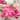 Garvee 30 Pcs Artificial Silk Flowers Bulk for Decoration, Realistic Decorative Fake Flowers with Iron Stems