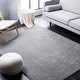 preview thumbnail 8 of 69, SAFAVIEH Plain And Solid Renske Rug 10' x 14' - Grey - Rectangle