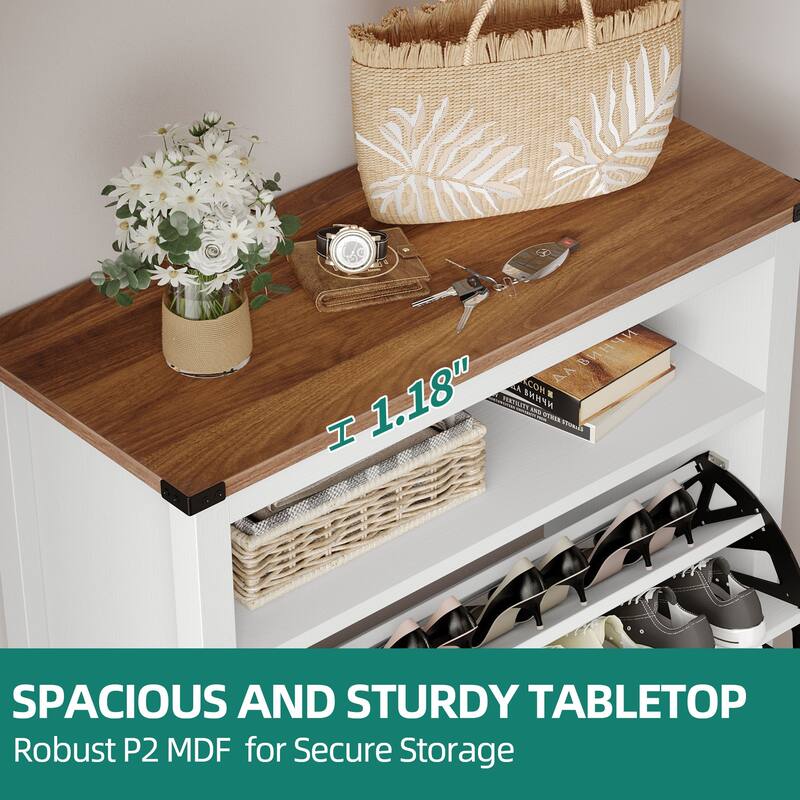 Moasis Shoe Storage Cabinet with 2 Flip Drawers and Led Light