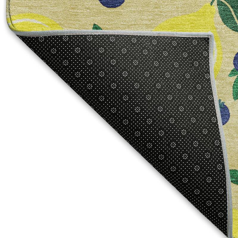 Machine Washable Indoor/ Outdoor Citrus Berry Chantille Rug