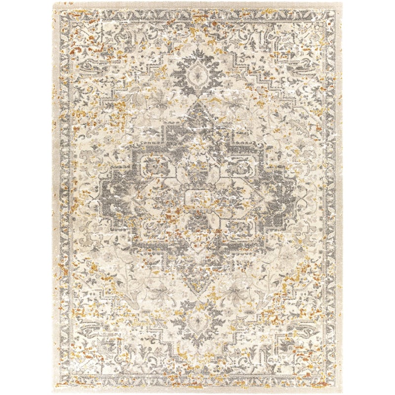 Pienza Updated Traditional Medallion Area Rug