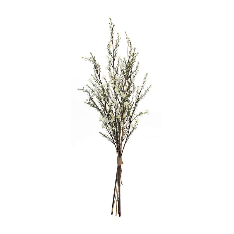 Leptospermum Bundle (Set of 6)