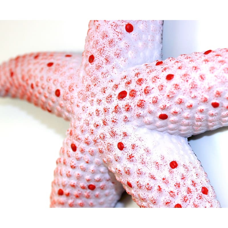 Sea Star Red Starfish Wall Decor 9 Inch Resin Plaque - Pink