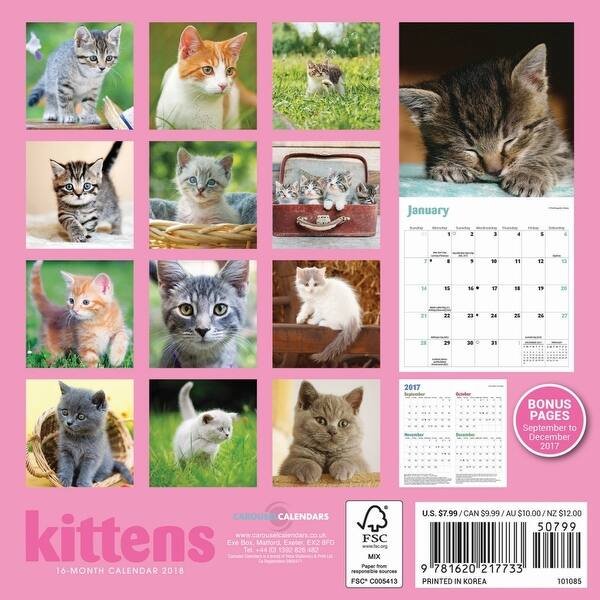 Shop Kittens Mini Wall Calendar Kittens By Vista Stationery