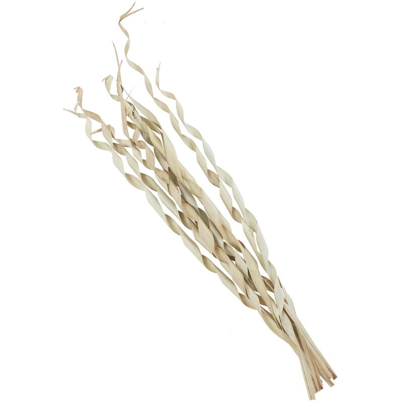 Palm Leaf Tall Rolled Sticks Home Decor Natural Foliage - Cream - Roche River Decor