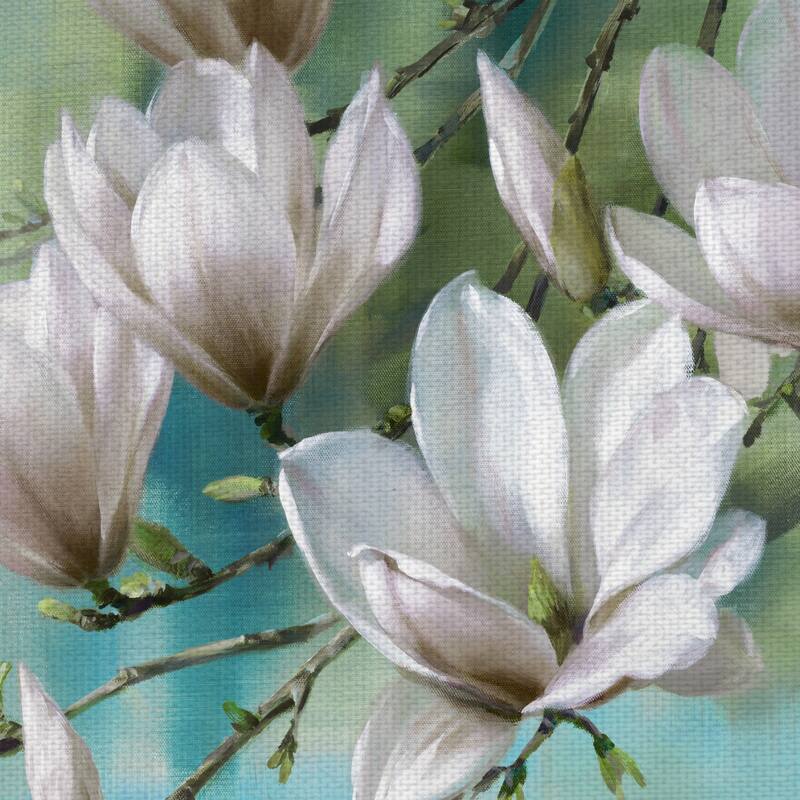 Magnolia Morning Teal by Rogier Daniels Canvas Art Print