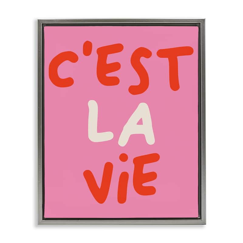 Stupell C'est La Vie on Pink Framed Floater Canvas Wall Art Design By House of Lulu - 25 x 31 - Grey