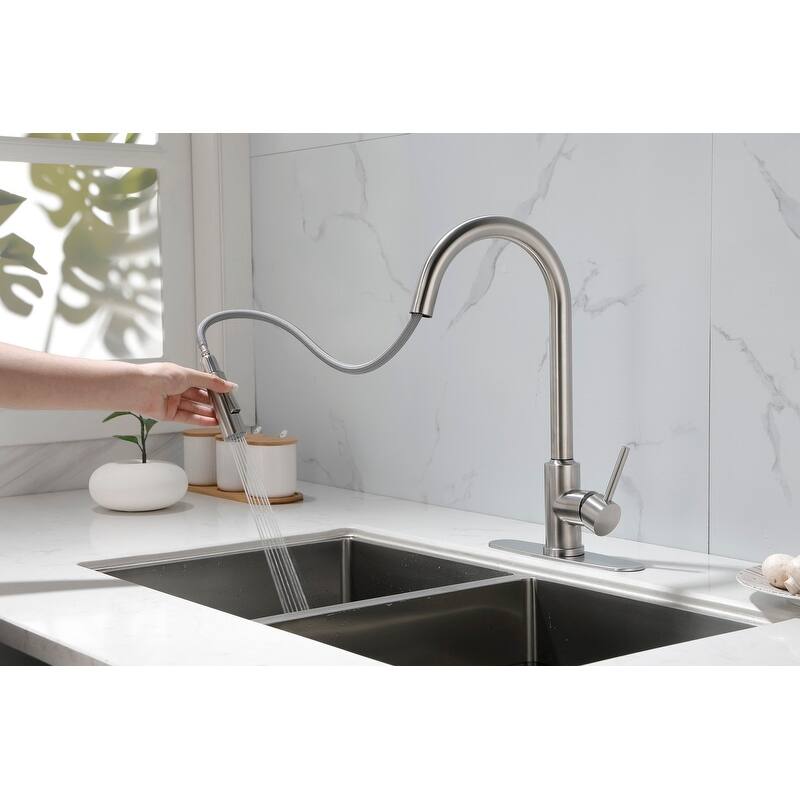 Kitchen Faucet with Pull Down Sprayer