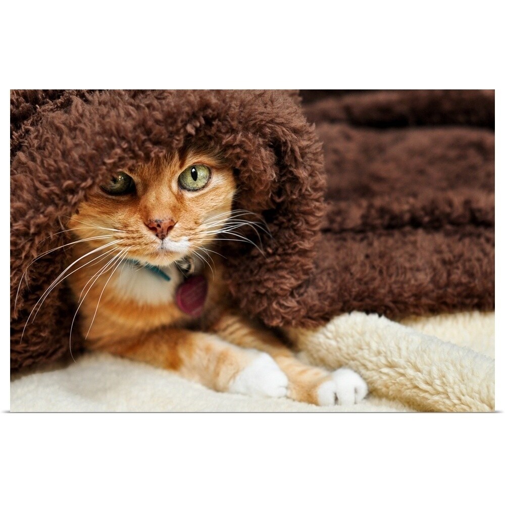 brown tabby cat plush