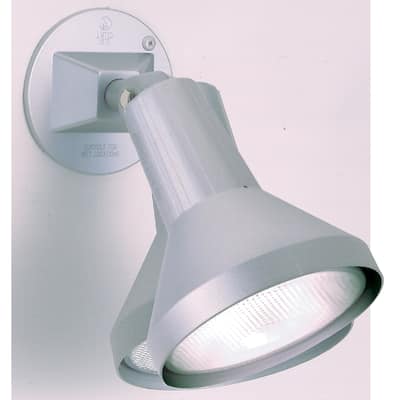 1-Light 8 In. PAR38 Floodlight