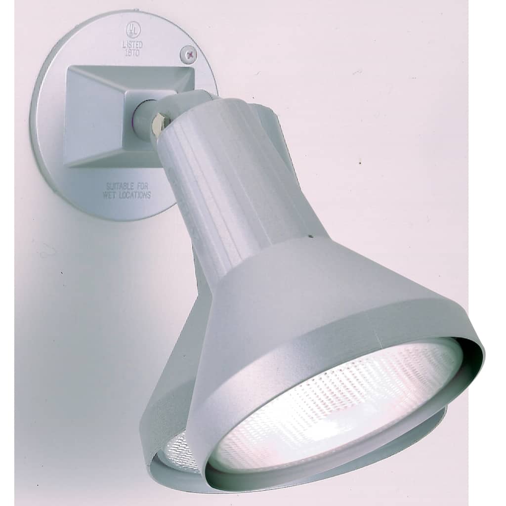 1-Light 8 In. PAR38 Floodlight
