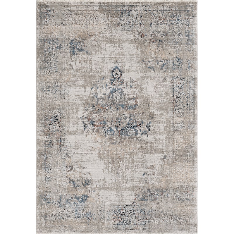 Domani Craze Tranditional & Distressed Area Rug - 3'11" x 5'5"