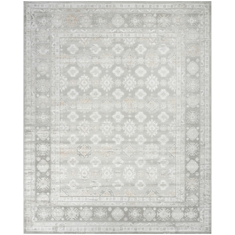 Nourison Dekor Indoor only Persian Area Rug