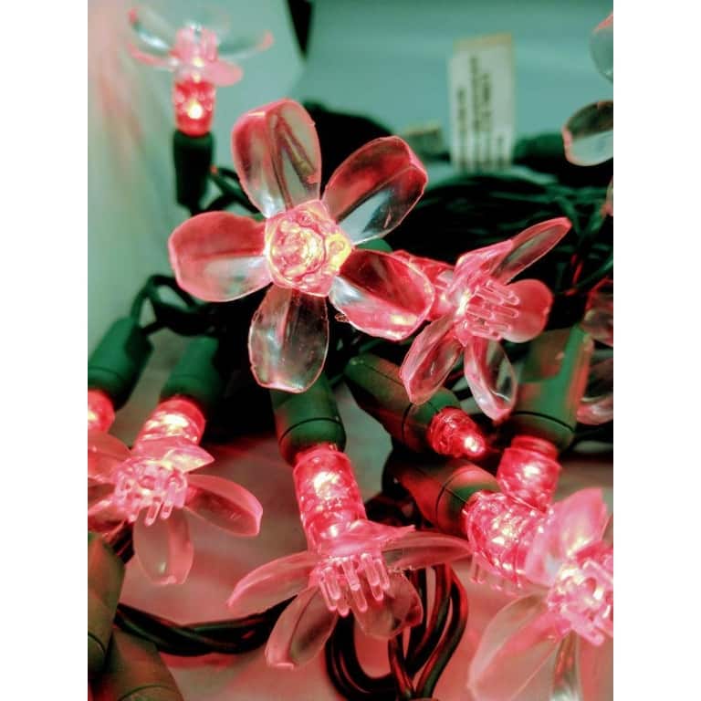 Red Flower LED Set of 25 Lights Light String