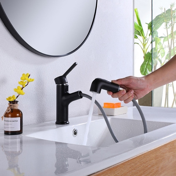 Single Handle Bathroom Sink Faucet with Pull Out Sprayer, Chrome