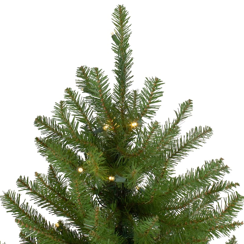 12' Northern Pine Full Artificial Christmas Tree Warm Clear LED Lights - over-10-feet