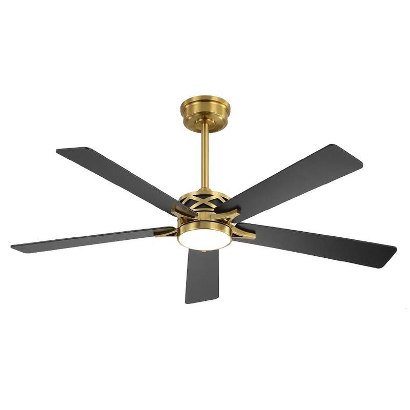 MLiAN 5-Blades DC Motor Indoor Smart Ceiling Fan with Light and Remote