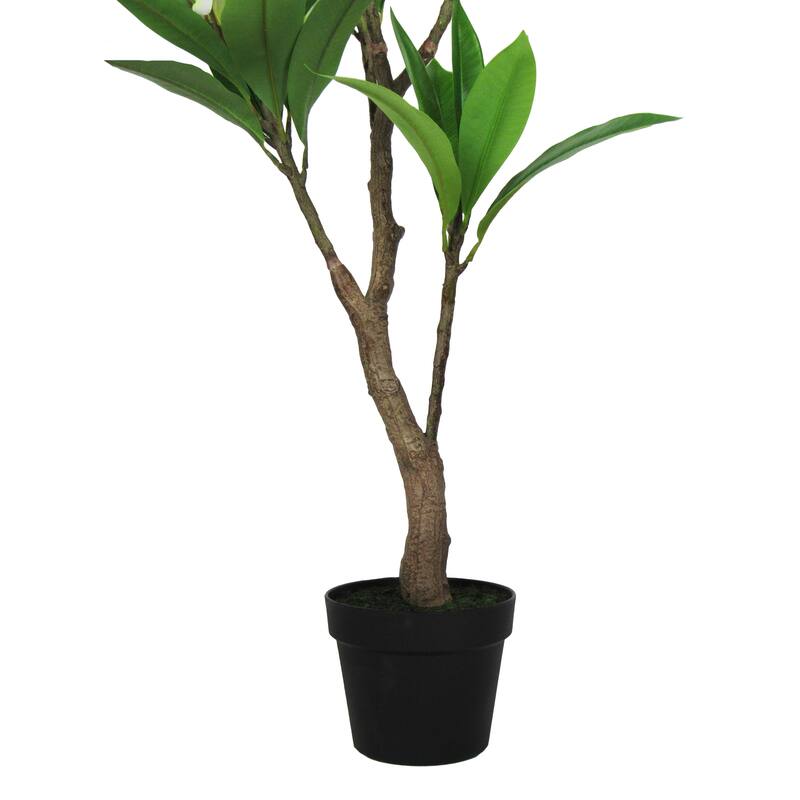 3ft Cream Artificial Plumeria Flower Tree Tropical Plant in Black Pot - 36" H x 20" W x 17" DP