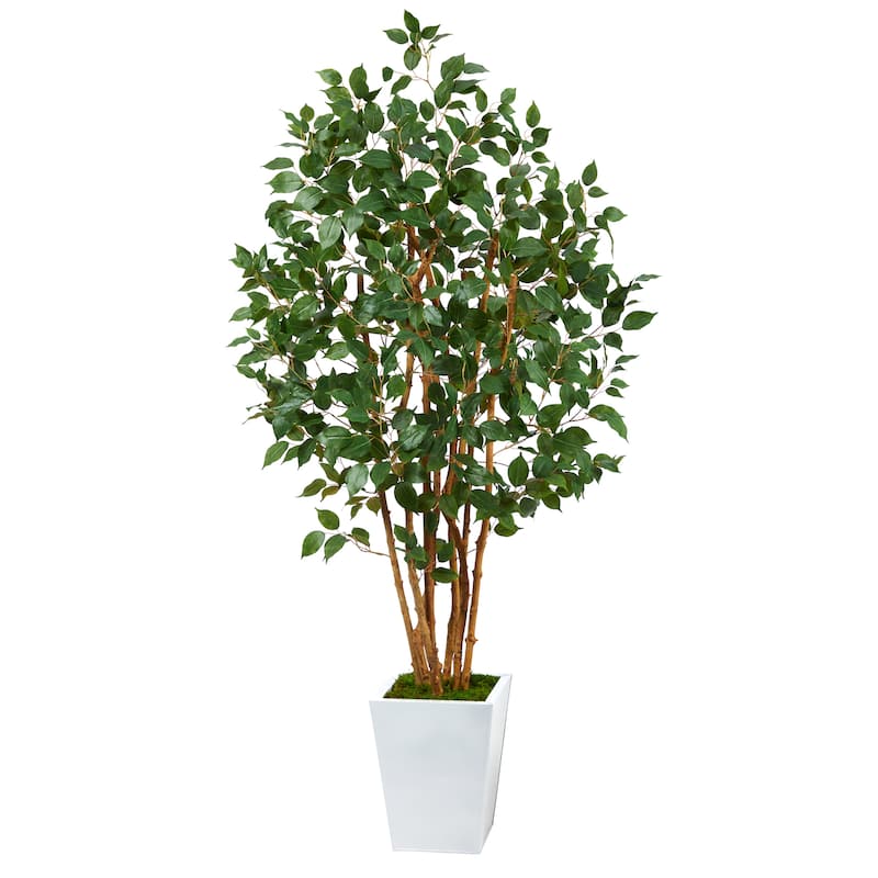 5.5' Ficus Bushy Artificial Tree in White Metal Planter - 15"