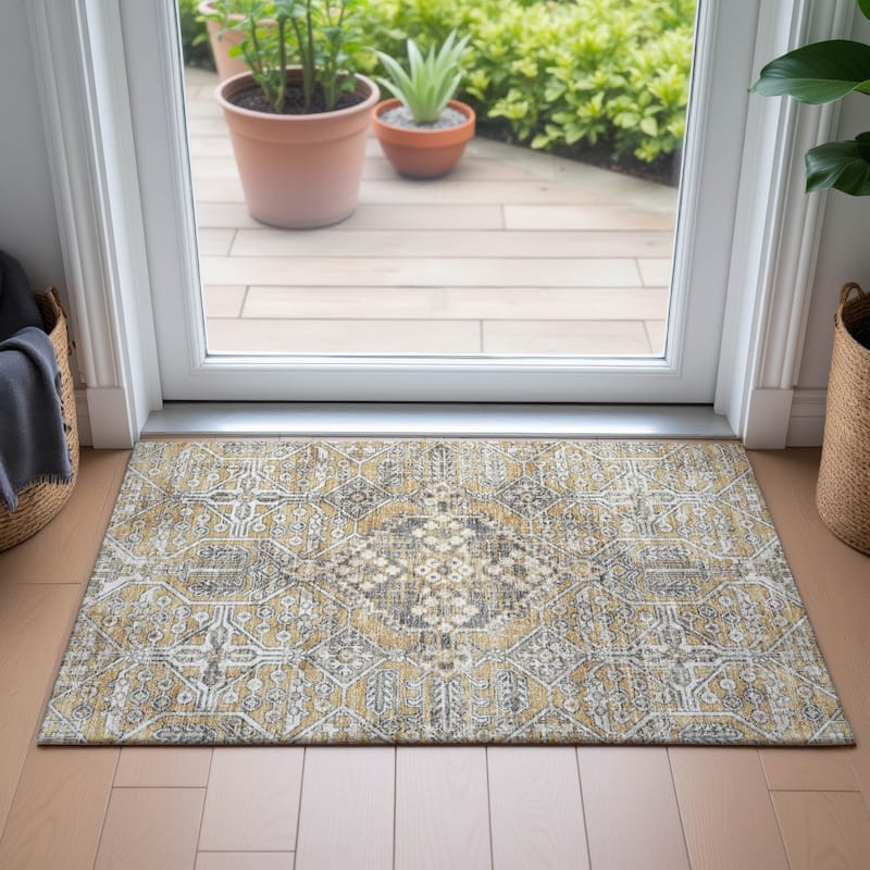 Machine Washable Indoor/Outdoor Traditional Eclectic Chantille Rug