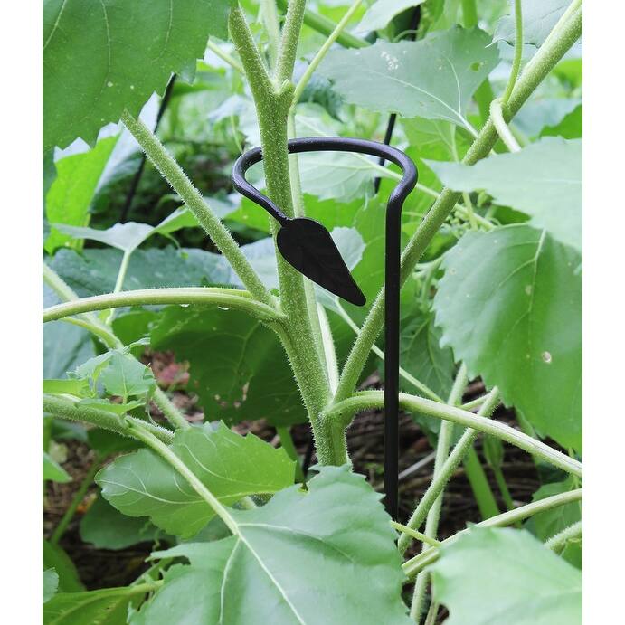 Achla Designs 40" H Black Wrought Iron Plant Stakes (Set of 6), Powder Coated Finish, Garden Accessory Tool