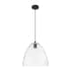 Option Clear Shade / Matte Black