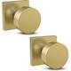 Option Satin Brass