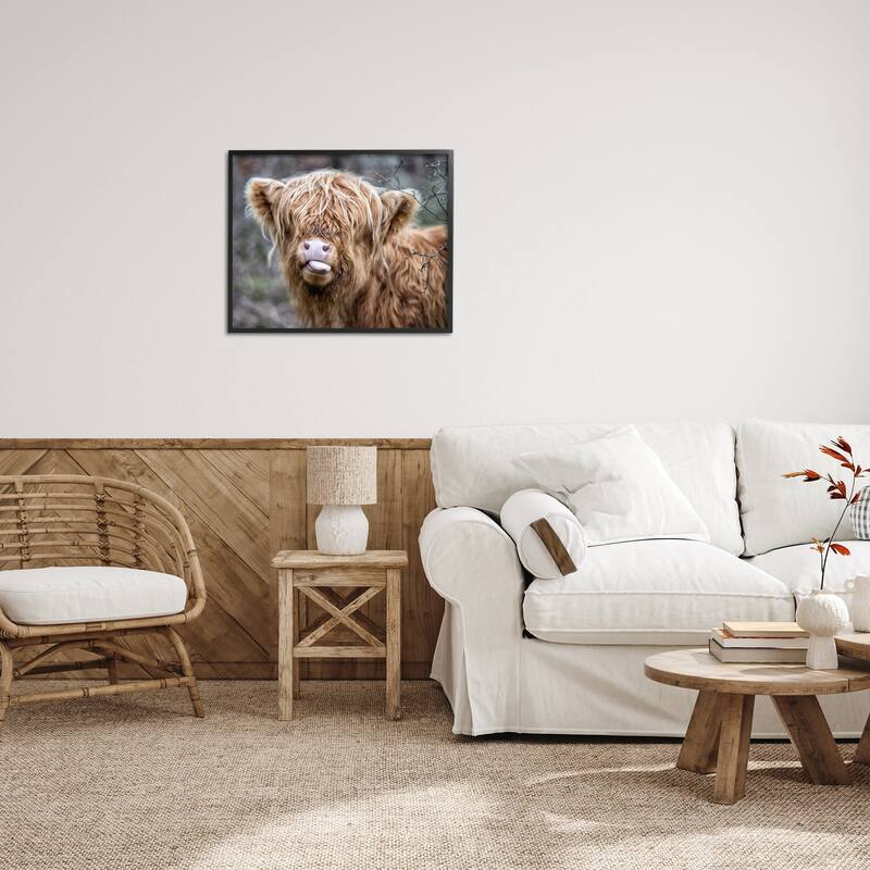 Stupell Baby Highland Calf Cattle Licking Lips Country Farmland Framed Wall Art, Design by James Dobson