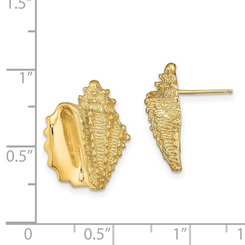Curata 14k YellowGold Conch Shell Post Earrings 2 d - 17.62x14mm