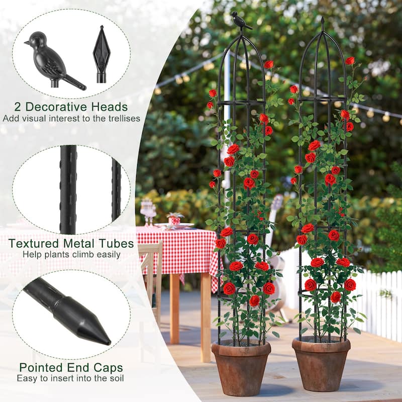 Gymax 2-Pack Garden Obelisk Trellis for Climbing Plants Rustproof