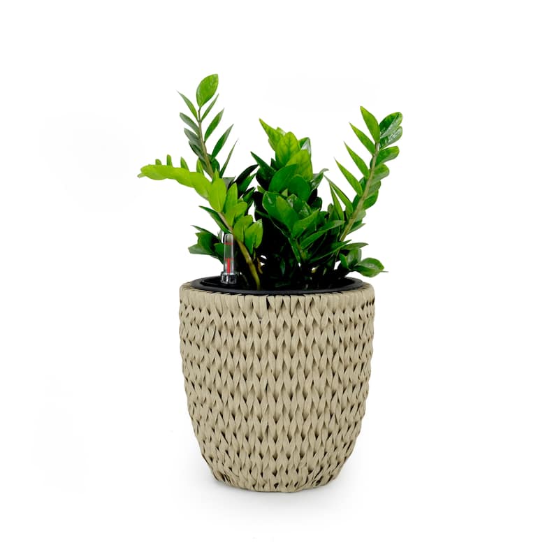 DTY Signature Self-watering Wicker Planter - Garden Decoration Pot - Beige - 14.6 in Round