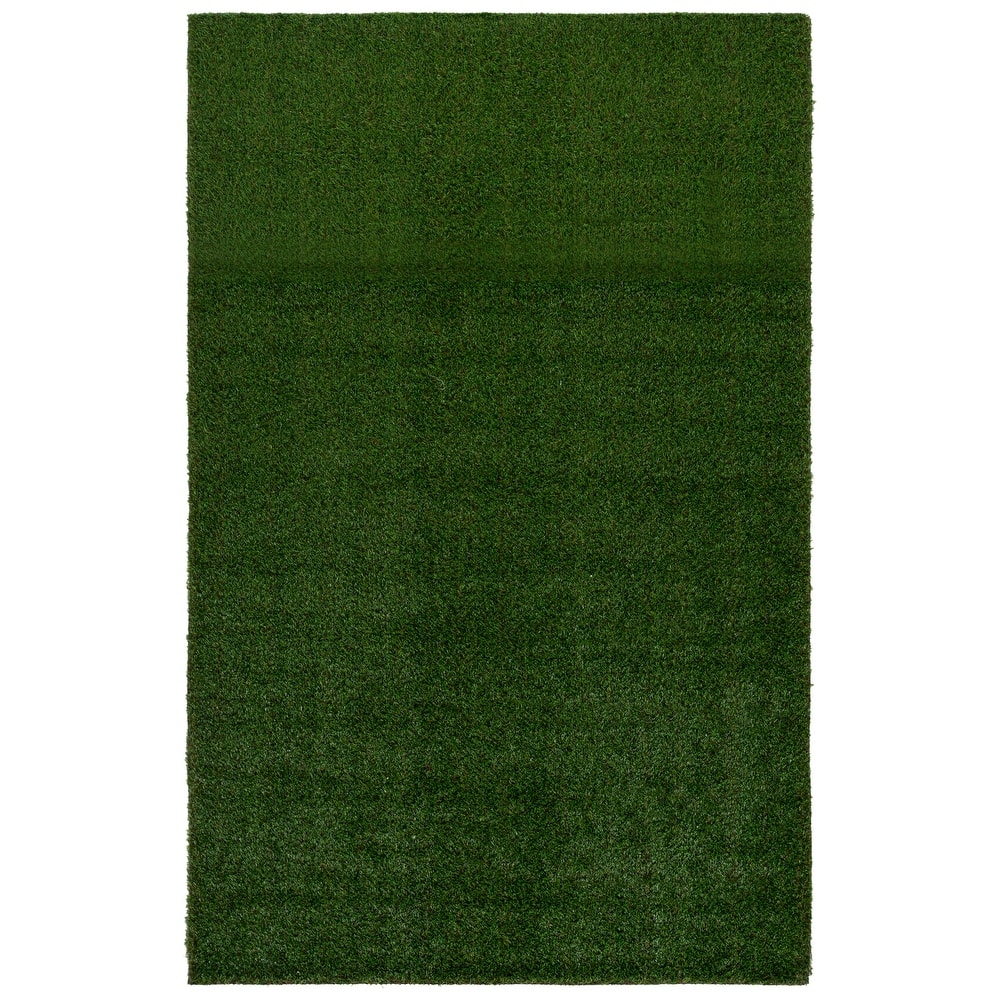 SAFAVIEH Vista Jaya Washable Indoor/Outdoor Rug - Weather Resistant & Easy Cleaning