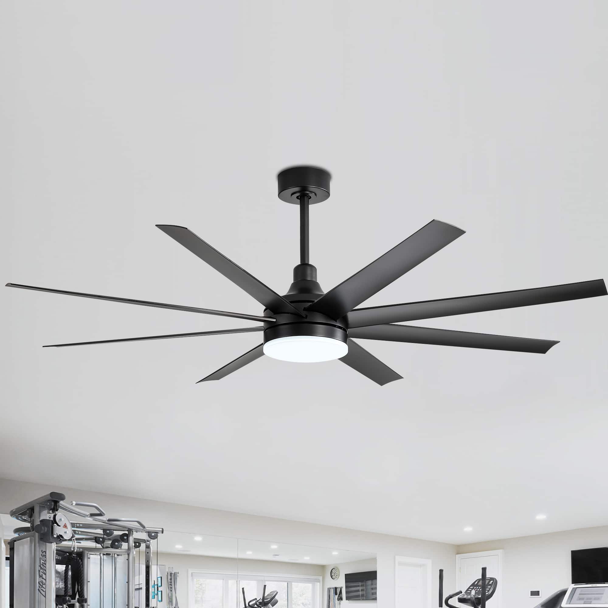 Option Black-65-inch